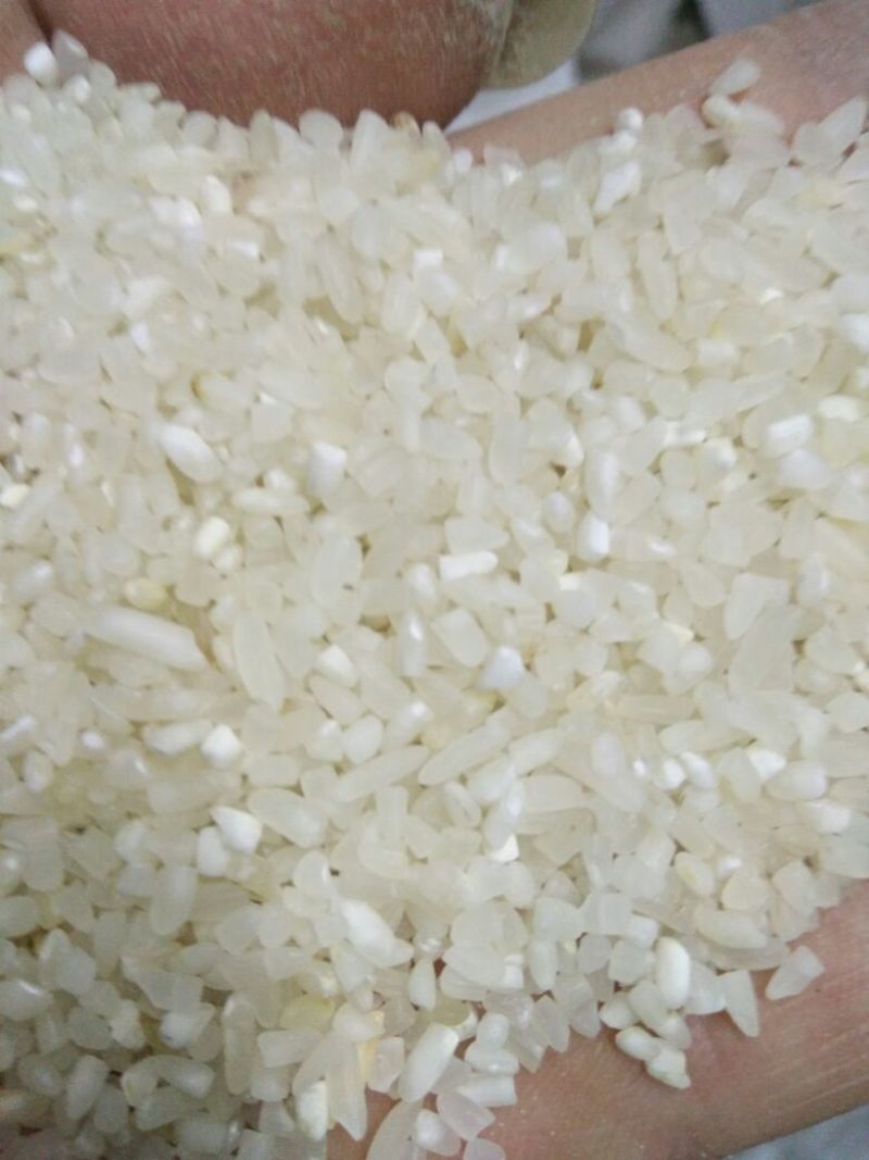 抛光碎米食品级新粮籼碎米厂家直发一手货源全国发货