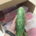 羊角蜜甜瓜1斤以上精品