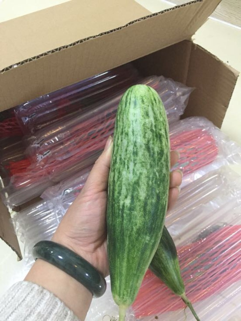 羊角蜜甜瓜1斤以上精品