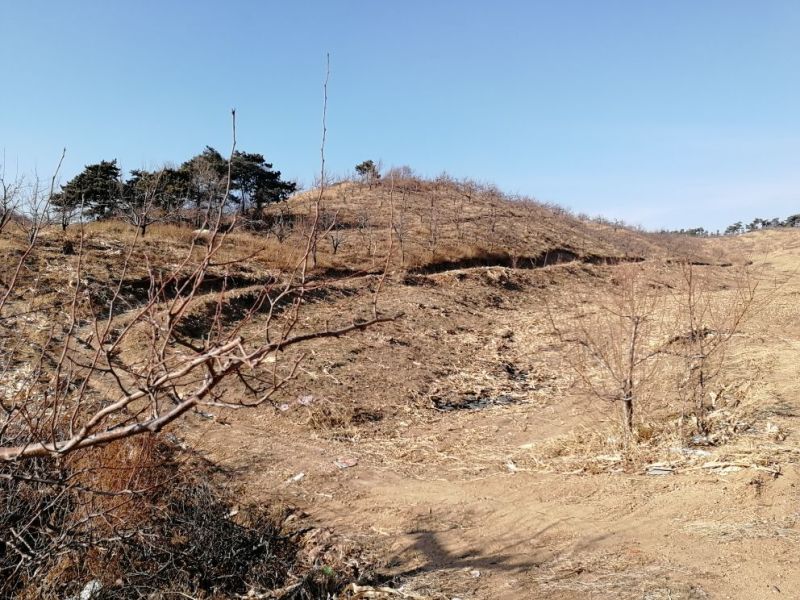 山地出租101~1000亩10~30年