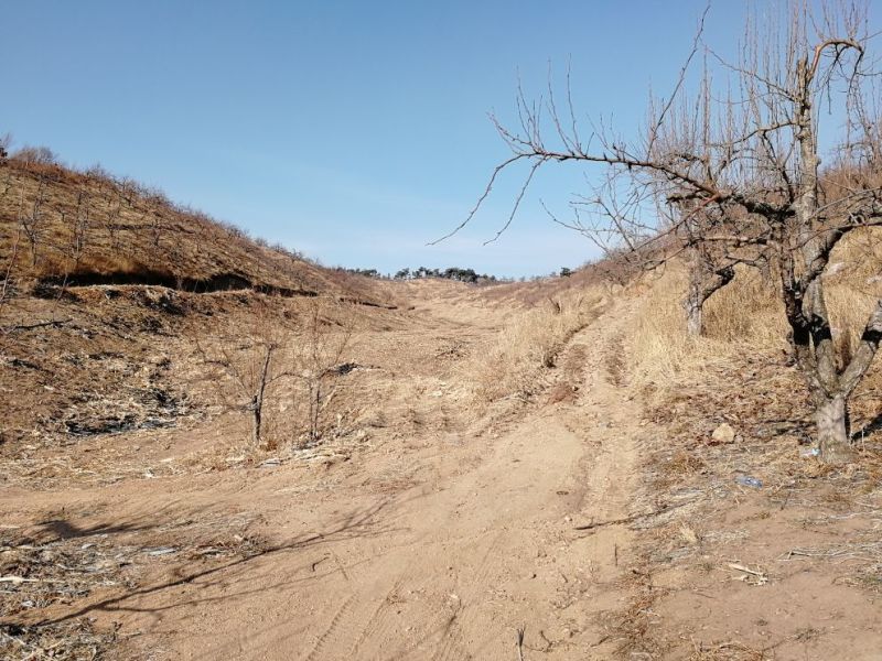 山地出租101~1000亩10~30年