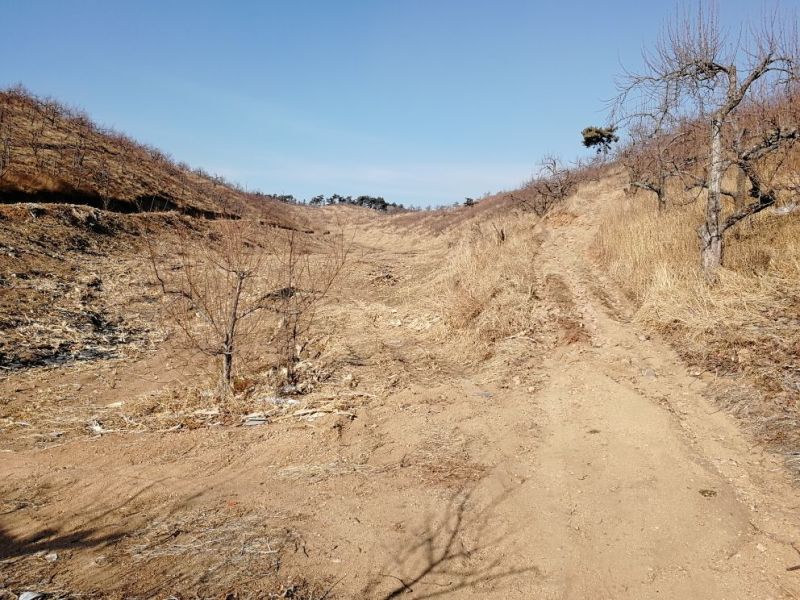 山地出租101~1000亩10~30年
