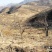 山地出租101~1000亩10~30年