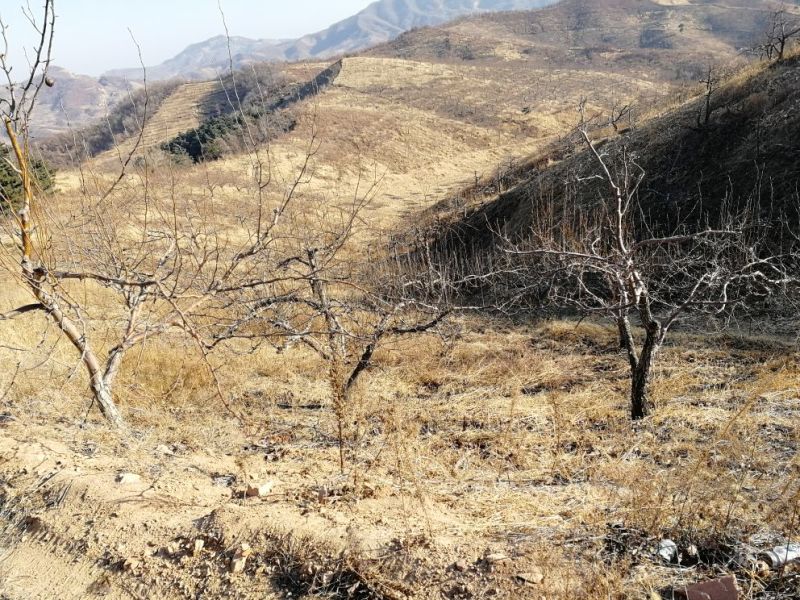 山地出租101~1000亩10~30年