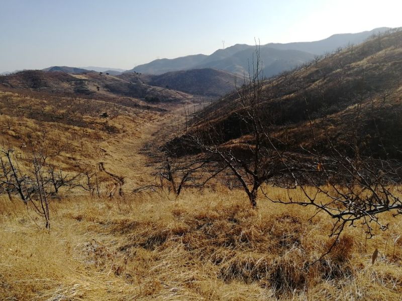山地出租101~1000亩10~30年