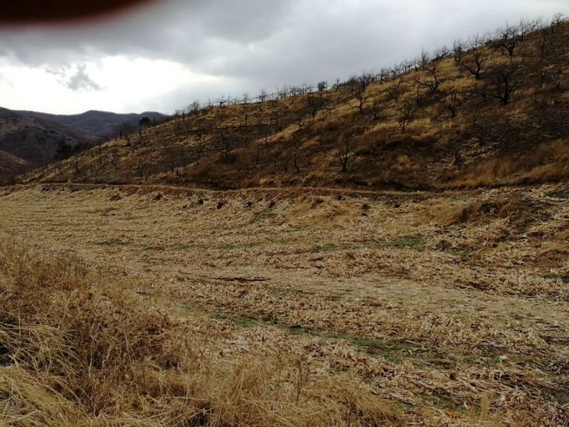 山地出租101~1000亩10~30年