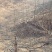 山地出租101~1000亩10~30年