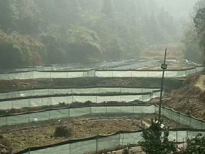 龙虾养殖防逃网
