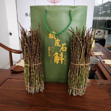 浙江雁荡山铁皮石斛鲜条现剪现发可视频看货量大从优