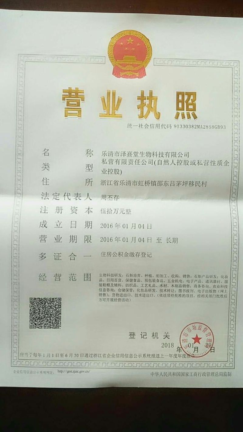浙江雁荡山铁皮石斛鲜条现剪现发可视频看货量大从优