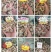 三七40头选货干货