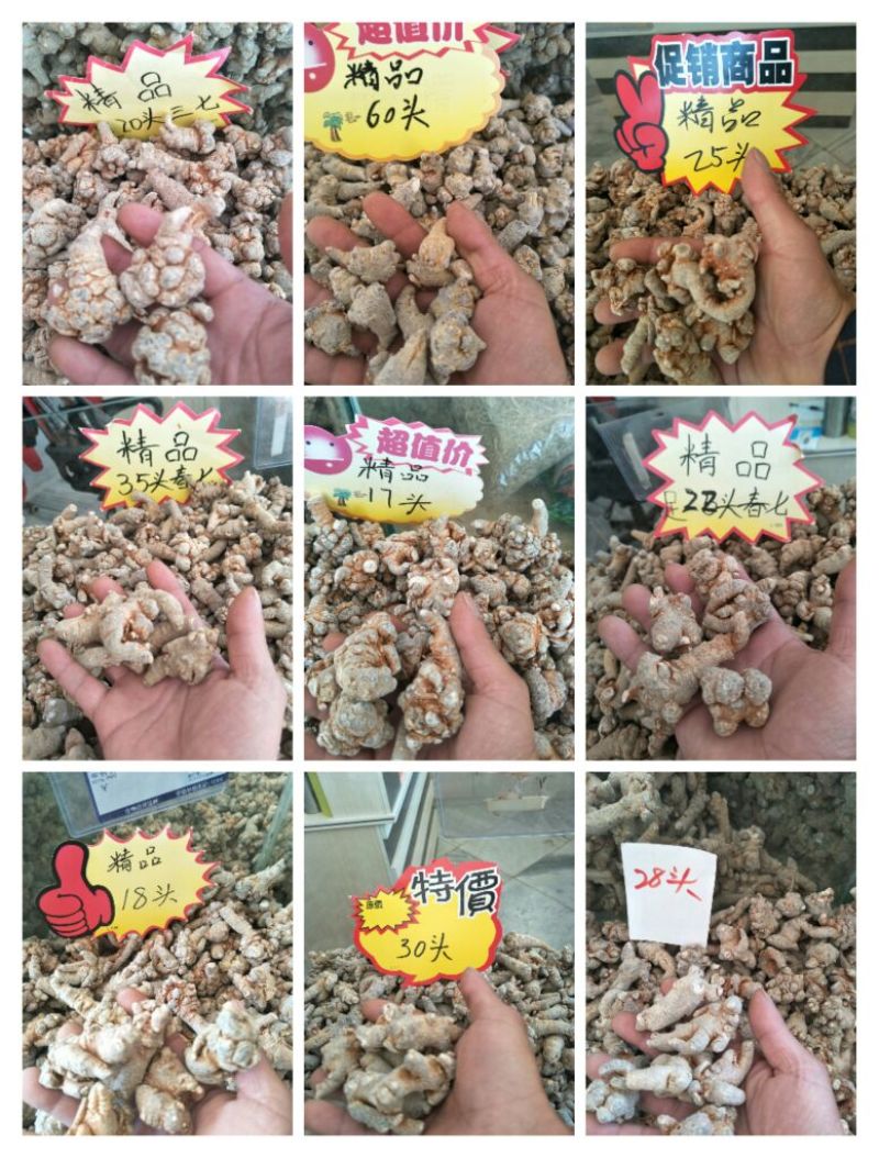 三七40头选货干货