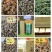 三七40头选货干货