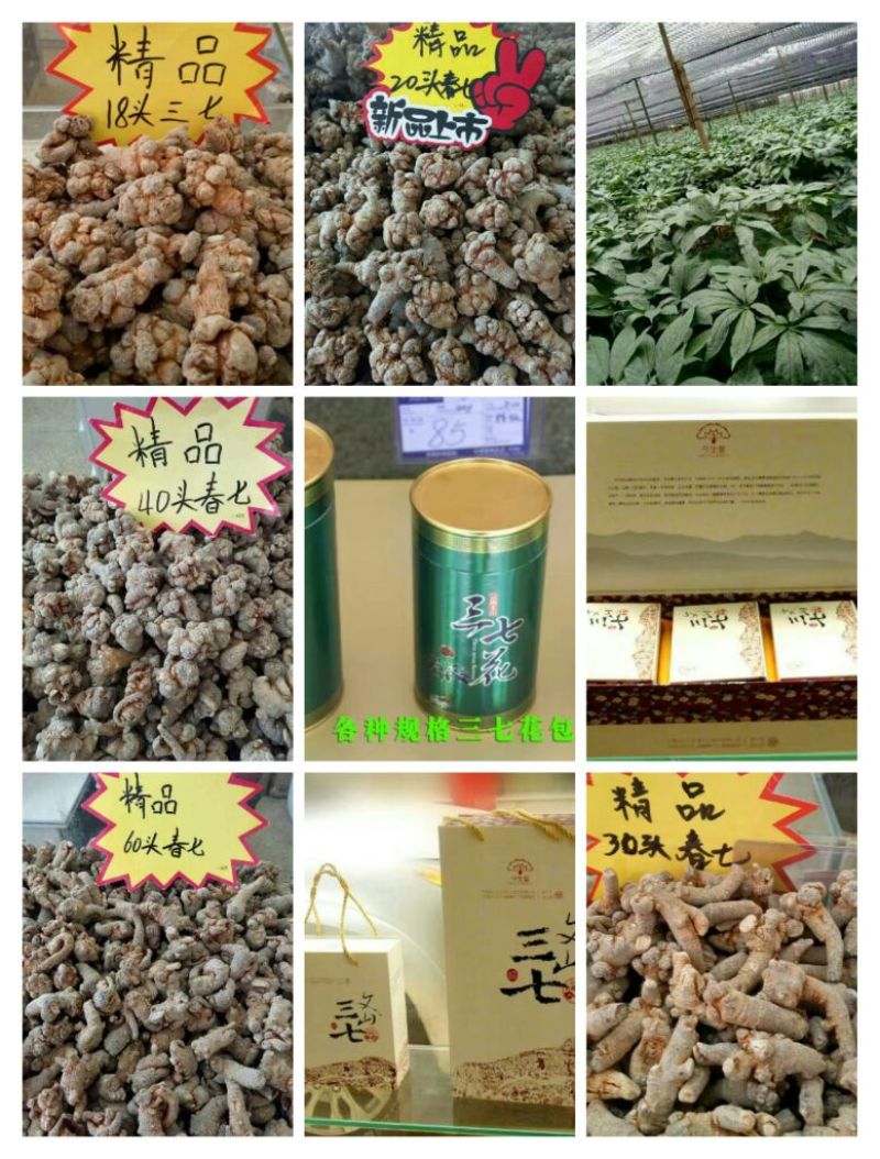 三七40头选货干货
