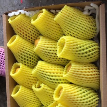 贵妃芒2两以上