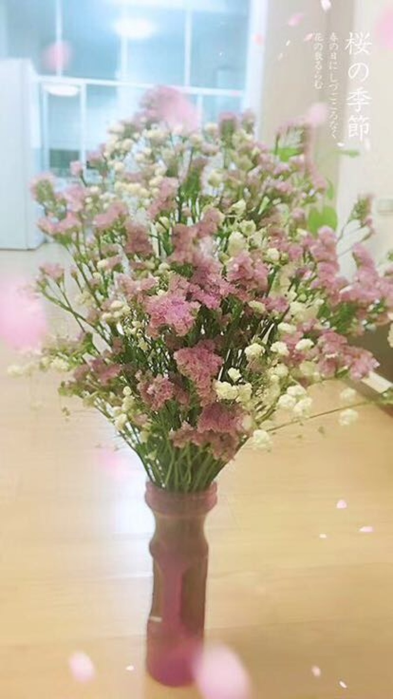 勿忘我
