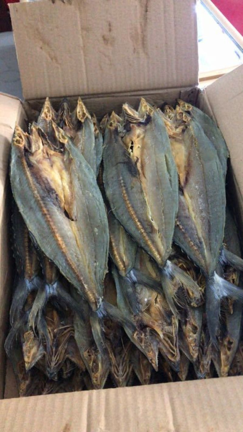 鲅鱼干腌制鱼干