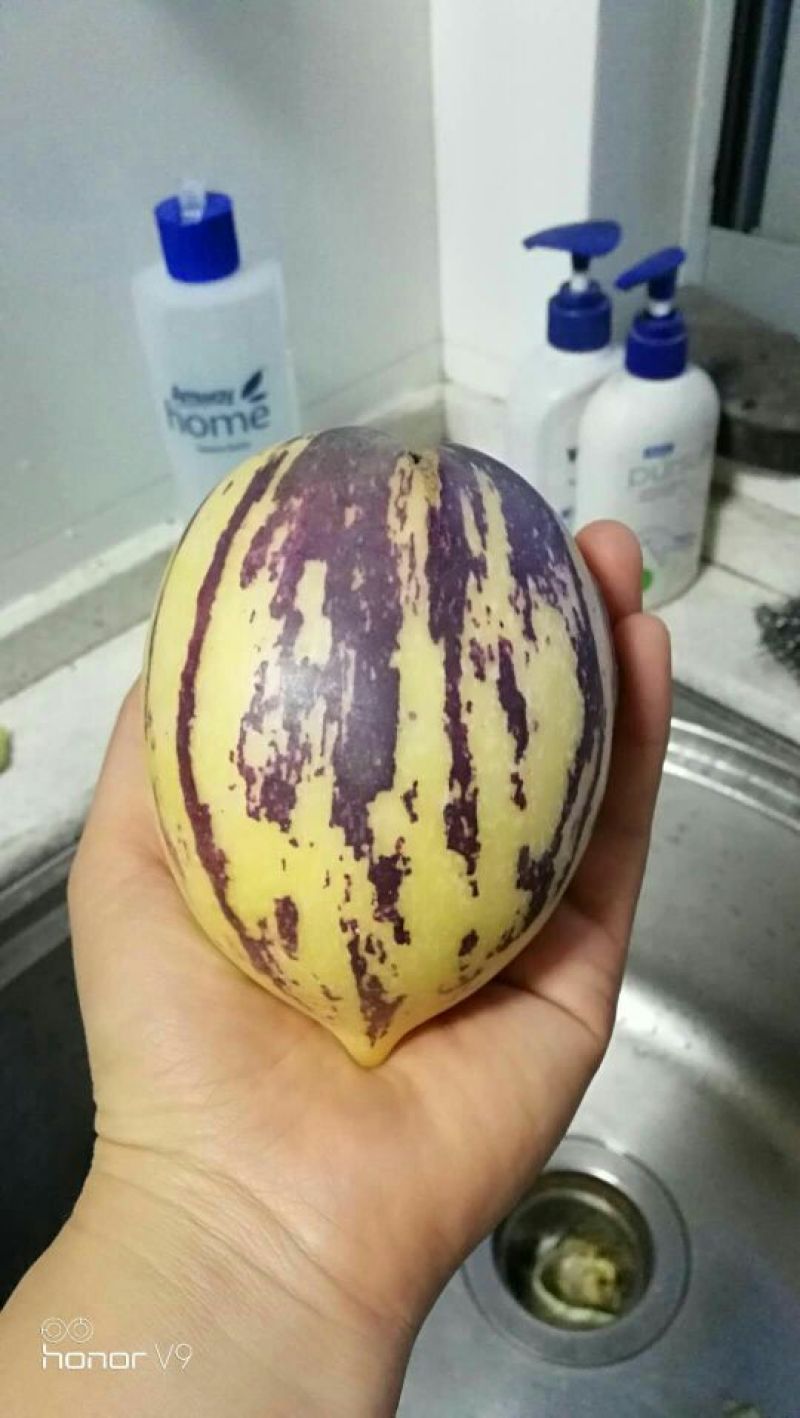 甘肃省民勤县人参黄皮黄肉树上熟，微甜包邮到家