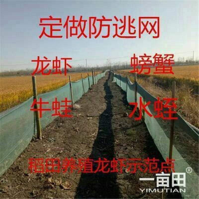 江苏宿迁沭渔网厂家现货质量好欢迎咨询采购