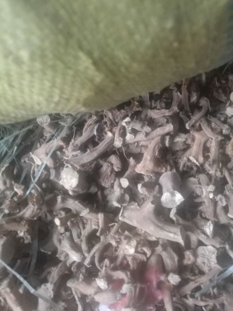 穿山龙