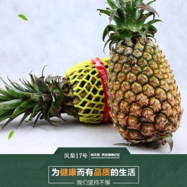 凤梨海南海南17号凤梨基地直销9斤包邮