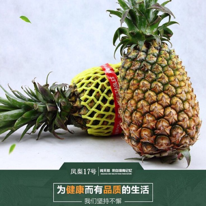 凤梨海南海南17号凤梨基地直销9斤包邮
