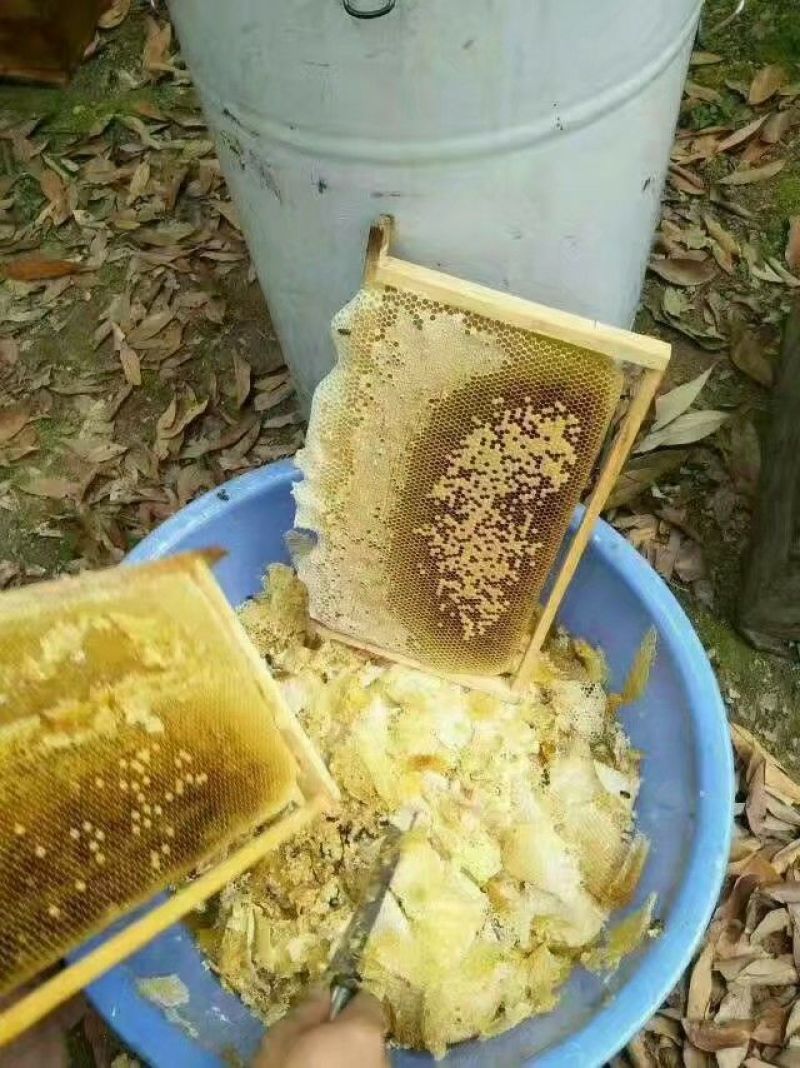 土蜂蜜2斤