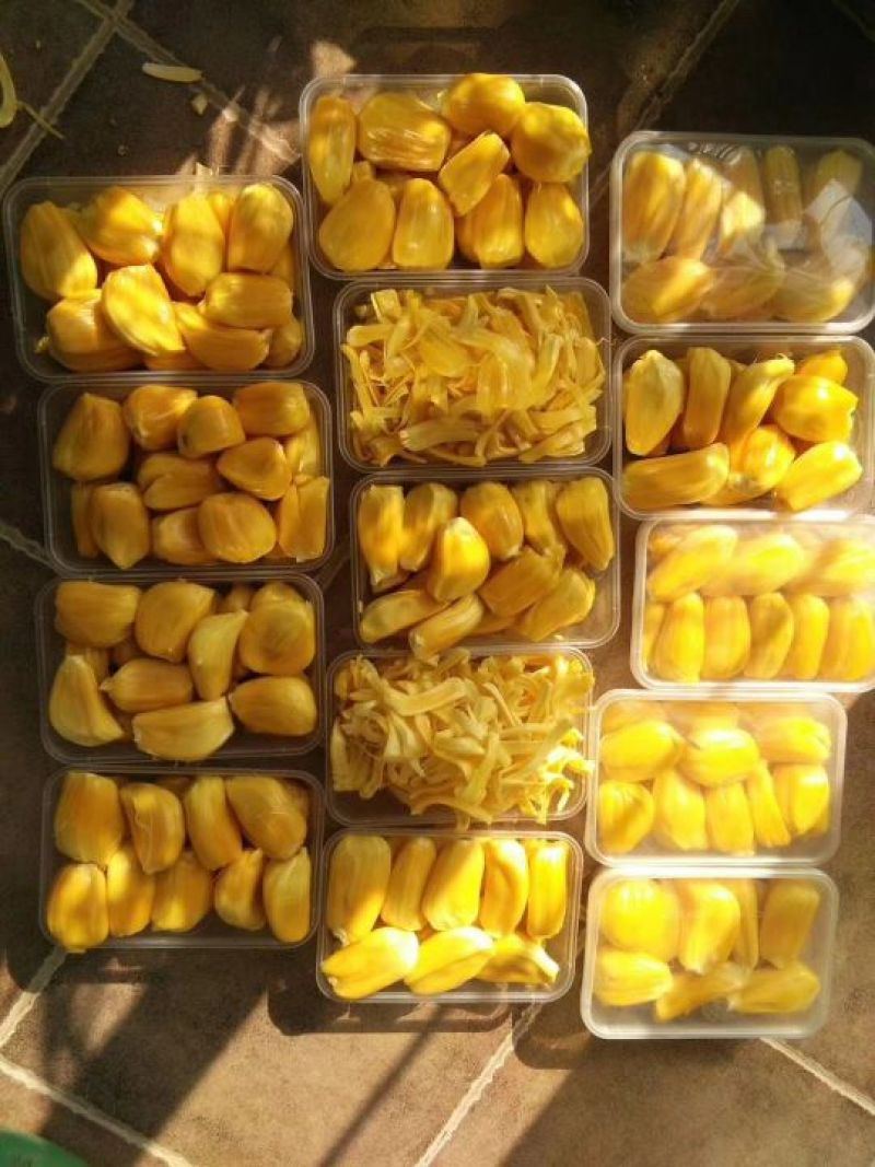 菠萝蜜5~8公斤