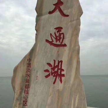 小龙虾小龙虾主养4-6钱（20-30克）食用活虾
