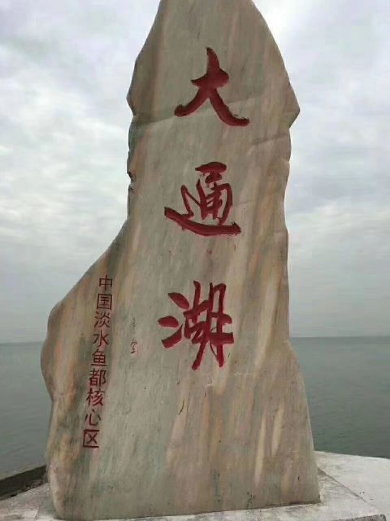 小龙虾小龙虾主养4-6钱（20-30克）食用活虾