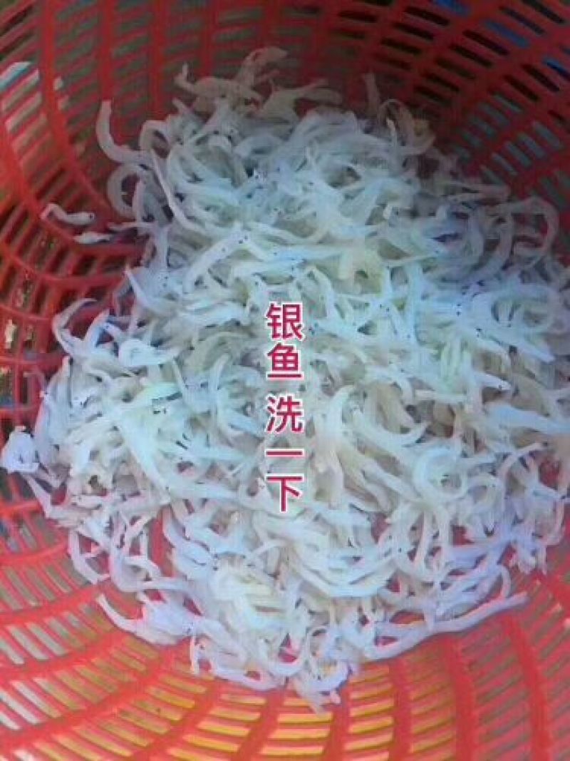 银鱼干日晒鱼干