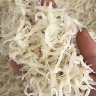 银鱼干日晒鱼干