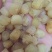 干瑶柱