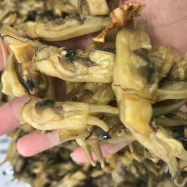 海蛏干
