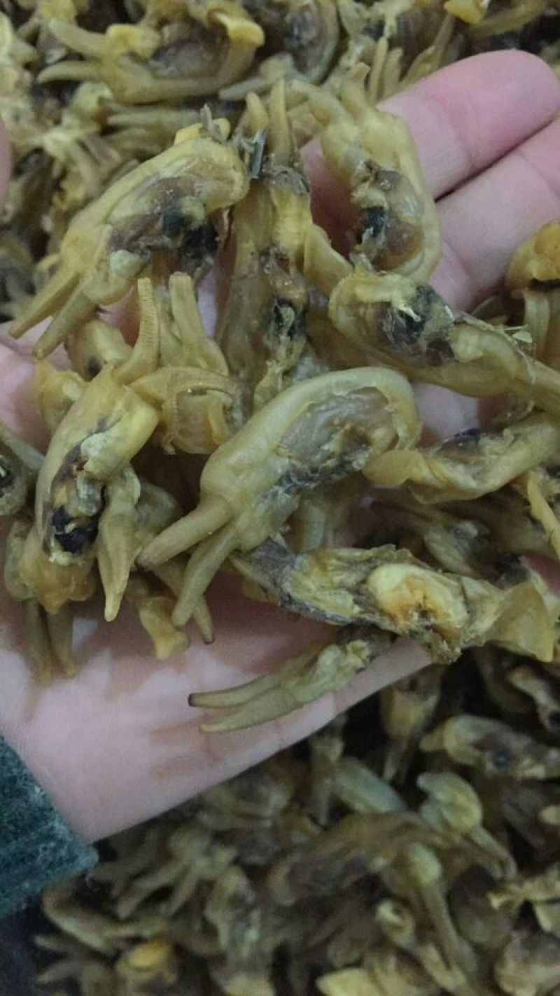 海蛏干