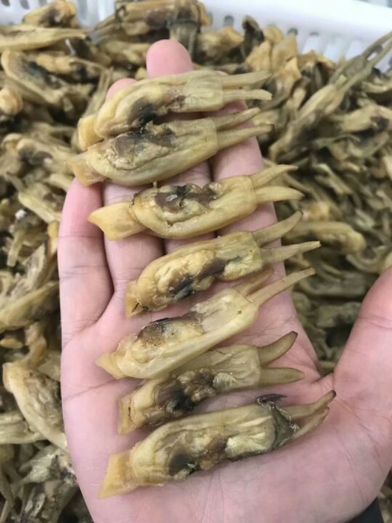 海蛏干