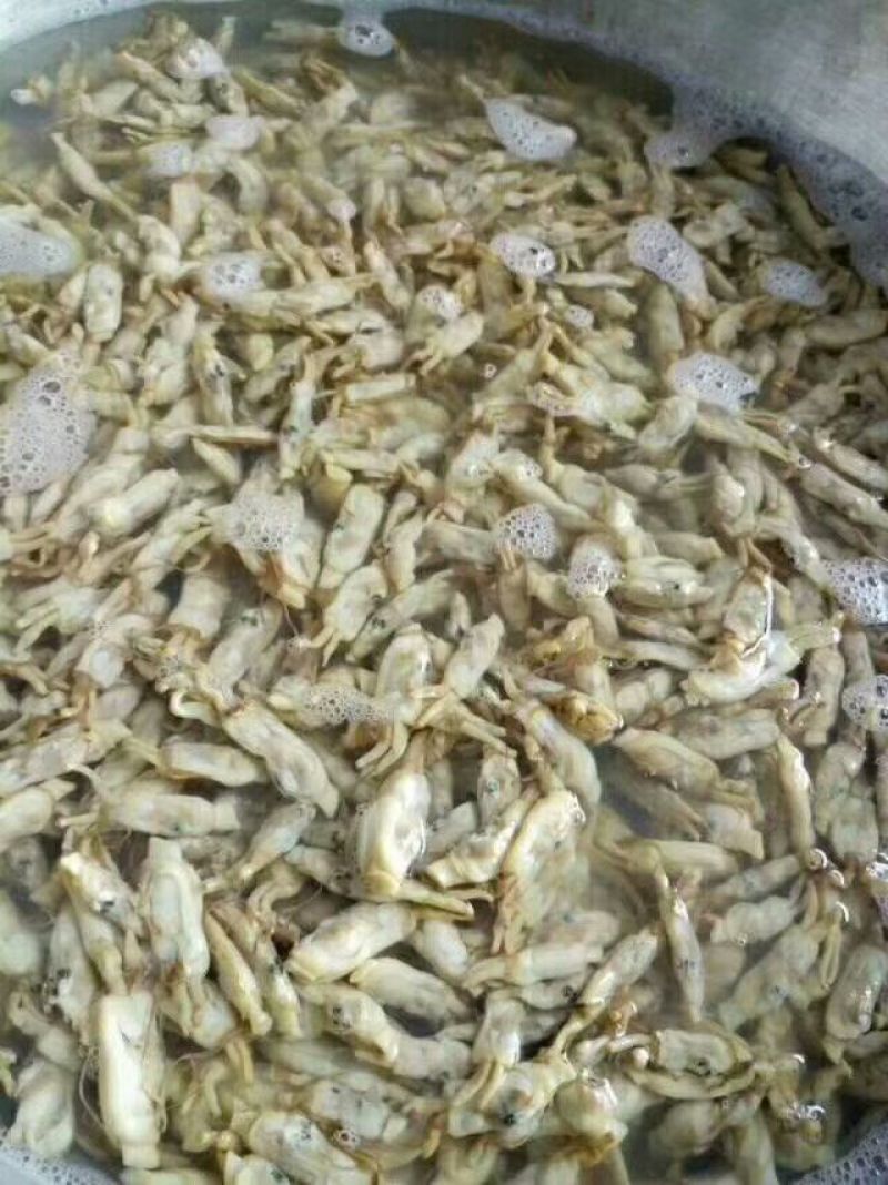 海蛏干