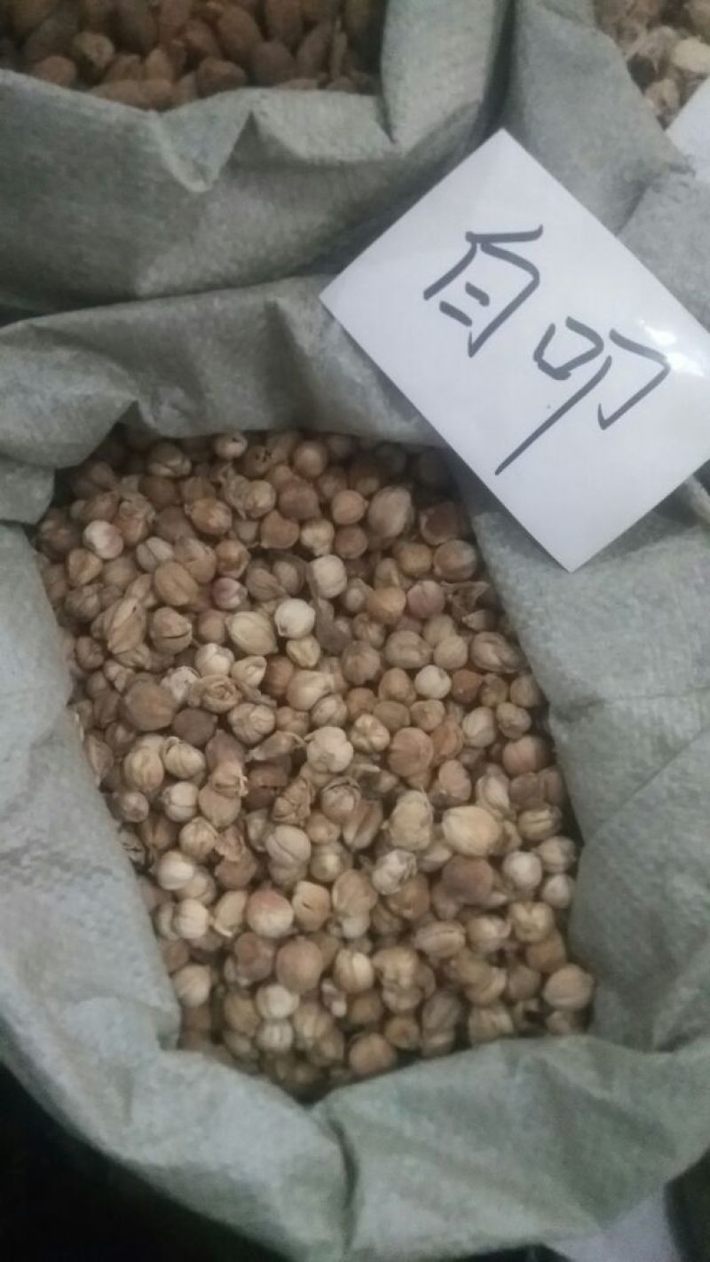 白豆蔻散装