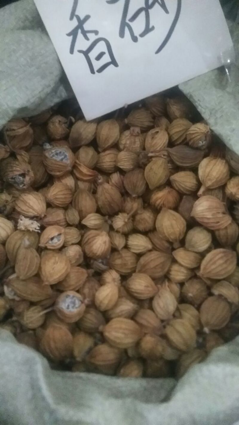 香砂