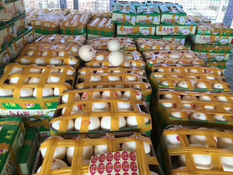 东方蜜1号甜瓜产地直供，货量大