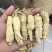 西洋参根条选货西洋参根条大根