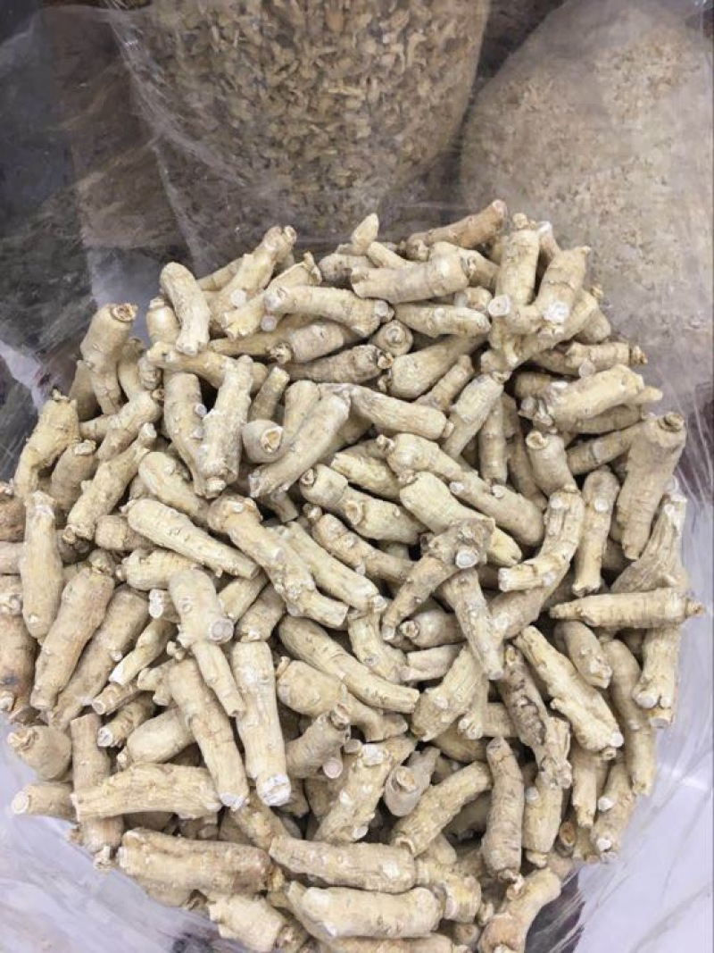 西洋参根条选货西洋参根条大根