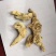 三叉白芨干货选货
