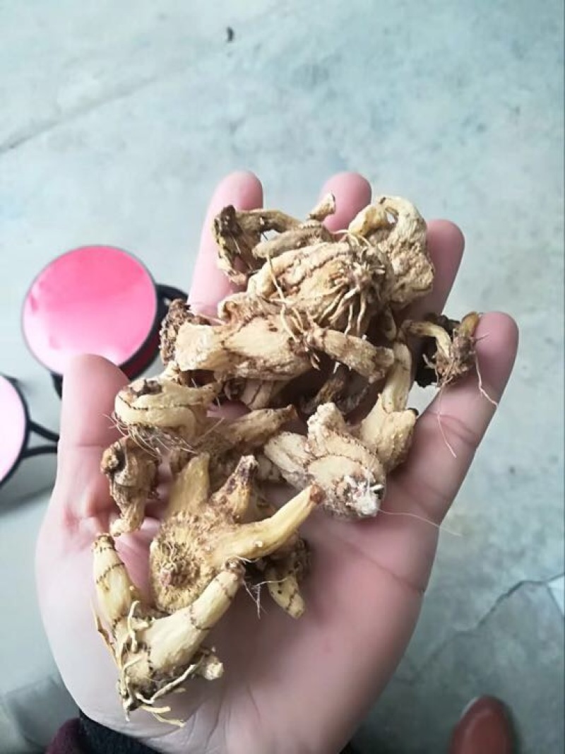 三叉白芨干货选货