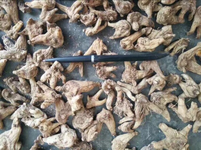 三叉白芨干货选货
