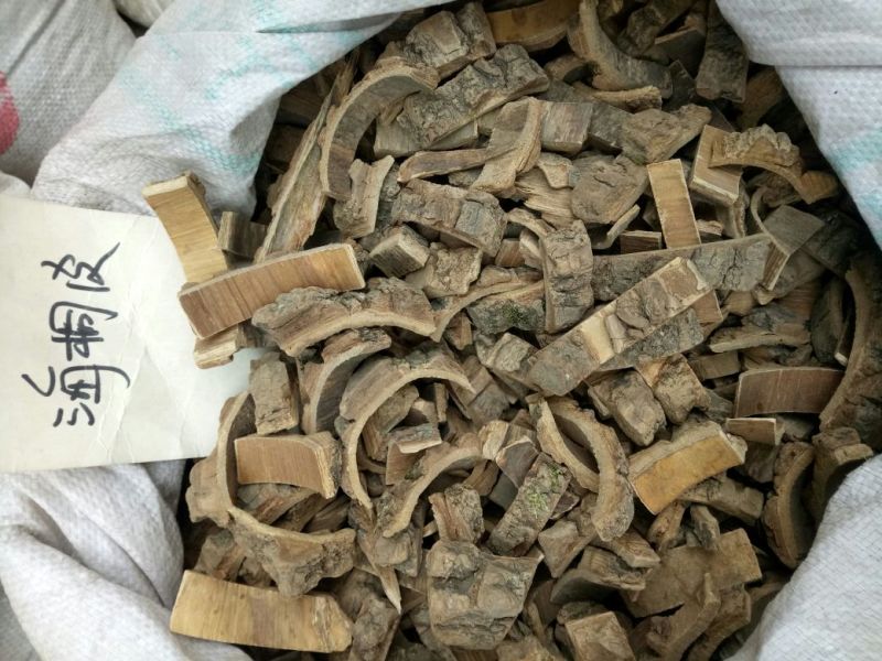 海桐皮干货选货厚皮量大从优欢迎选购