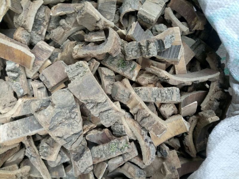 海桐皮干货选货厚皮量大从优欢迎选购
