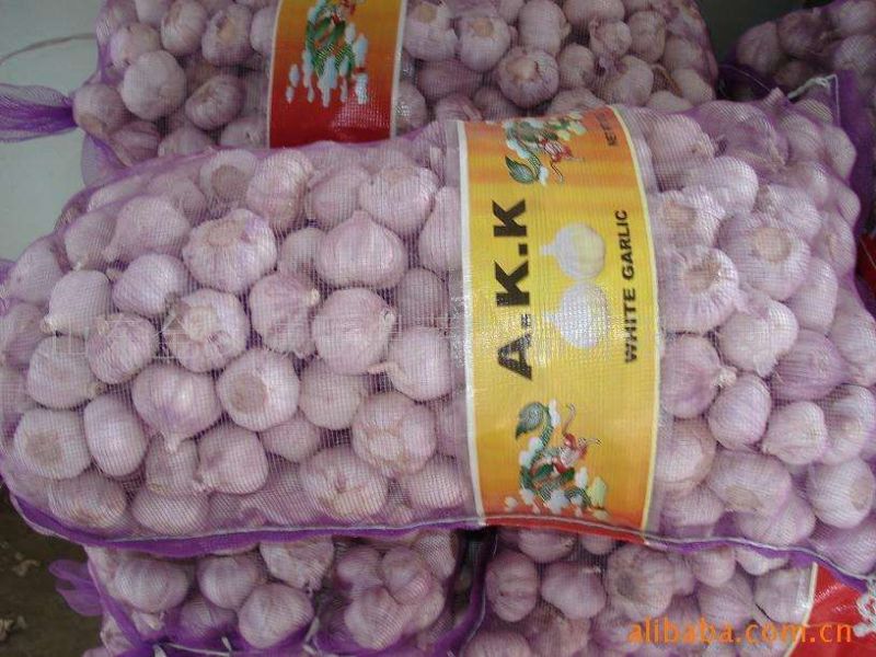 金乡红皮干蒜、冷库出租