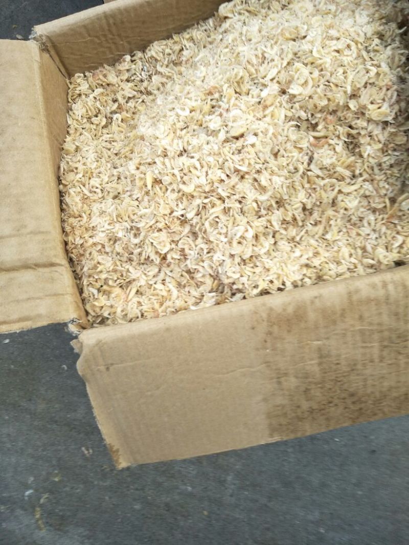 虾皮三级