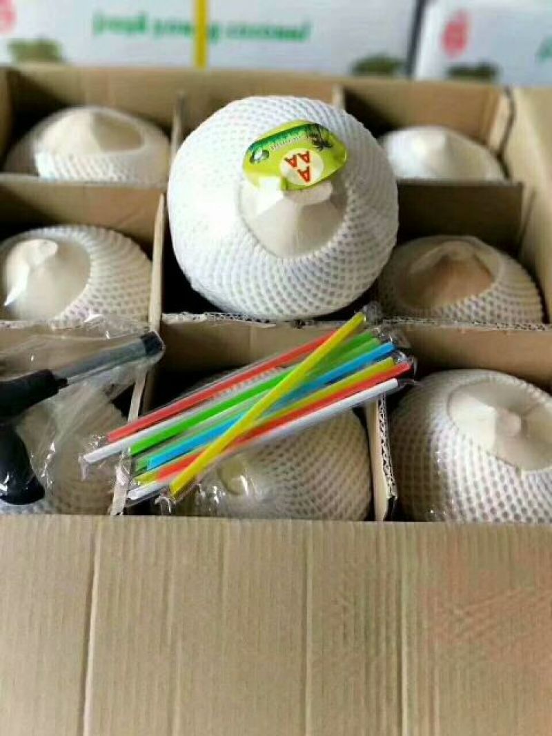 椰青海南椰青。一箱9个装51，50箱起